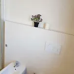 Tiraboschi Modena